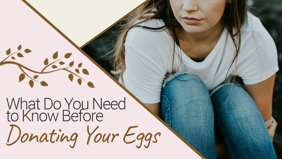 What Do You Need to Know Before Donating Your Eggs? 